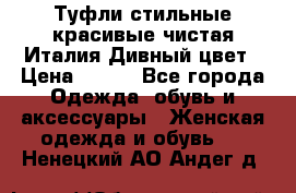 Туфли стильные красивые чистая Италия Дивный цвет › Цена ­ 425 - Все города Одежда, обувь и аксессуары » Женская одежда и обувь   . Ненецкий АО,Андег д.